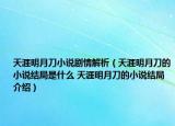 天涯明月刀小說劇情解析（天涯明月刀的小說結(jié)局是什么 天涯明月刀的小說結(jié)局介紹）