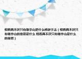 相看兩不厭只有敬亭山是什么修辭手法（相看兩不厭只有敬亭山的意思是什么 相看兩不厭只有敬亭山是什么的意思）