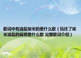 歌詞中有油鹽柴米的是什么歌（抗住了柴米油鹽的麻煩是什么歌 完整歌詞介紹）