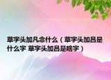 草字頭加凡念什么（草字頭加呂是什么字 草字頭加呂是啥字）