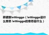 蔡健雅lettinggo（lettinggo是什么意思 lettinggo的意思是什么）