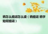 徜怎么組詞怎么讀（徜組詞 徜字如何組詞）