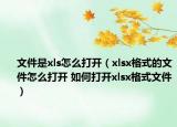 文件是xls怎么打開(kāi)（xlsx格式的文件怎么打開(kāi) 如何打開(kāi)xlsx格式文件）