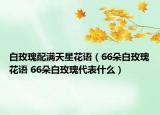 白玫瑰配滿天星花語(yǔ)（66朵白玫瑰花語(yǔ) 66朵白玫瑰代表什么）