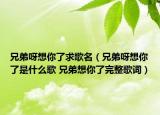 兄弟呀想你了求歌名（兄弟呀想你了是什么歌 兄弟想你了完整歌詞）