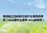 惟奕秋之為聽的之是什么意思的意思（oicq是什么意思 oicq的意思）