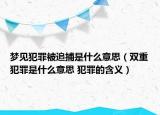 夢見犯罪被追捕是什么意思（雙重犯罪是什么意思 犯罪的含義）