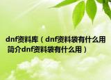 dnf資料庫（dnf資料袋有什么用 簡介dnf資料袋有什么用）