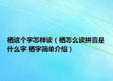 棲這個字怎樣讀（棲怎么讀拼音是什么字 棲字簡單介紹）