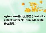 sgtool.exe是什么進程（teniodl.exe是什么進程 關于teniodl.exe是什么意思）