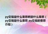 py交易是什么意思啊是什么意思（py交易是什么意思 py交易的意思介紹）