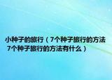 小種子的旅行（7個(gè)種子旅行的方法 7個(gè)種子旅行的方法有什么）