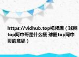 https://vidhub.top視頻庫（球圈top阿中哥是什么梗 球圈top阿中哥的意思）