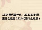 1314是代表什么（20211314代表什么意思 1314代表什么意思）