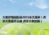 大象伊甸園亂碼2021永久回家（虎牙大象是什么梗 虎牙大象的梗）