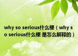 why so serious什么梗（why so serious什么梗 是怎么解釋的）