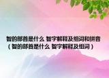 智的部首是什么 智字解釋及組詞和拼音（智的部首是什么 智字解釋及組詞）