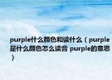 purple什么顏色和讀什么（purple是什么顏色怎么讀音 purple的意思）