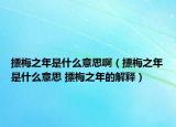 摽梅之年是什么意思?。〒棵分晔鞘裁匆馑?摽梅之年的解釋）