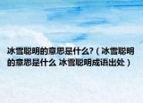 冰雪聰明的意思是什么?（冰雪聰明的意思是什么 冰雪聰明成語出處）