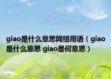 giao是什么意思網(wǎng)絡(luò)用語（giao是什么意思 giao是何意思）