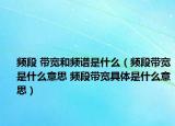 頻段 帶寬和頻譜是什么（頻段帶寬是什么意思 頻段帶寬具體是什么意思）