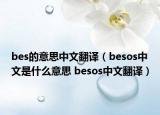 bes的意思中文翻譯（besos中文是什么意思 besos中文翻譯）