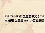 mercenary什么意思中文（mercy是什么意思 mercy英文解釋）