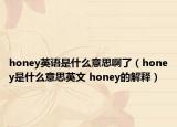 honey英語是什么意思啊了（honey是什么意思英文 honey的解釋）