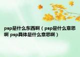 psp是什么東西?。╬sp是什么意思啊 psp具體是什么意思?。? /></span></a>
                        <h2><a href=