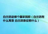 白蘭鴿是哪個(gè)國(guó)家民歌（白蘭鴿有什么寓意 白蘭鴿象征著什么）