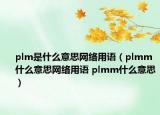 plm是什么意思網(wǎng)絡(luò)用語（plmm什么意思網(wǎng)絡(luò)用語 plmm什么意思）