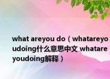 what areyou do（whatareyoudoing什么意思中文 whatareyoudoing解釋）