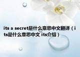 its a secret是什么意思中文翻譯（its是什么意思中文 its介紹）