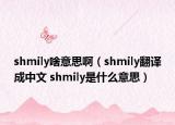 shmily啥意思?。╯hmily翻譯成中文 shmily是什么意思）