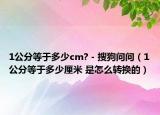 1公分等于多少cm? - 搜狗問問（1公分等于多少厘米 是怎么轉換的）