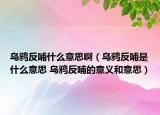 烏鴉反哺什么意思?。貘f反哺是什么意思 烏鴉反哺的意義和意思）