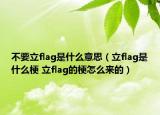 不要立flag是什么意思（立flag是什么梗 立flag的梗怎么來的）