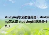 studying怎么讀音英語(yǔ)（studying怎么讀 studying的意思是什么）