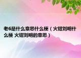 老6是什么意思什么梗（火鉗劉明什么梗 火鉗劉明的意思）