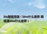 bis網(wǎng)絡(luò)用語（biss什么意思 網(wǎng)絡(luò)語biss什么意思）