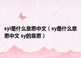 syl是什么意思中文（sy是什么意思中文 sy的意思）