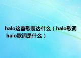 halo這首歌表達(dá)什么（halo歌詞 halo歌詞是什么）