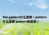 flat pattern什么意思（pattern什么意思 pattern的意思）