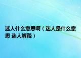 迷人什么意思?。匀耸鞘裁匆馑?迷人解釋）