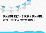 夫人何處去打一個(gè)漢字（夫人何處去打一字 夫人是什么意思）