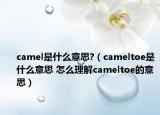 camel是什么意思?（cameltoe是什么意思 怎么理解cameltoe的意思）