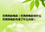 巴克狗的電影（巴克狗電影叫什么 巴克狗電影傳遞了什么內(nèi)容）