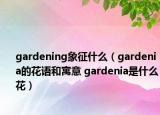 gardening象征什么（gardenia的花語(yǔ)和寓意 gardenia是什么花）