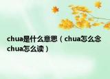 chua是什么意思（chua怎么念 chua怎么讀）